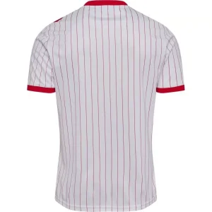 Maillot Extérieur Danemark 2026/27 – Image 4