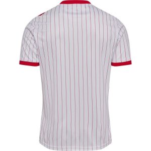 Maillot Extérieur Danemark 2026/27 – Image 6