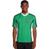 Maillot Rétro Domicile Nigéria 1998 - Eleven Crown - Maillot de Football Pas Cher - Survêtements Pas Cher - Maillot de Foorball Enfants Pas Cher - Maillots Retro Vintage Pas Cher- Qualité Premium