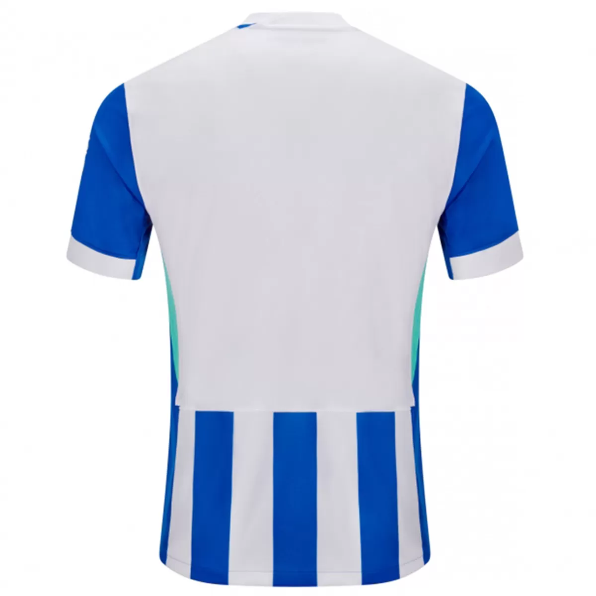 Maillot Domicile Brighton & Hove Albion 2025/26 – Image 2