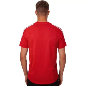 Maillot Rétro Domicile Turquie 2002 – Image 2