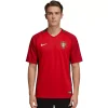 Maillot Rétro Domicile Portugal 2016 - Eleven Crown - Maillot de Football Pas Cher - Survêtements Pas Cher - Maillot de Foorball Enfants Pas Cher - Maillots Retro Vintage Pas Cher- Qualité Premium
