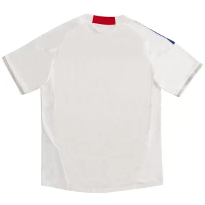 Maillot Rétro Extérieur Japon 2010 – Image 4