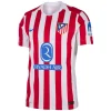 Maillot Player Domicile Atlético de Madrid 2025/26 - Eleven Crown - Maillot de Football Pas Cher - Survêtements Pas Cher - Maillot de Foorball Enfants Pas Cher - Maillots Retro Vintage Pas Cher- Qualité Premium