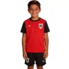 Ensemble Enfants Domicile Autriche 2026/27 - Eleven Crown - Maillot de Football Pas Cher - Survêtements Pas Cher - Maillot de Foorball Enfants Pas Cher - Maillots Retro Vintage Pas Cher- Qualité Premium