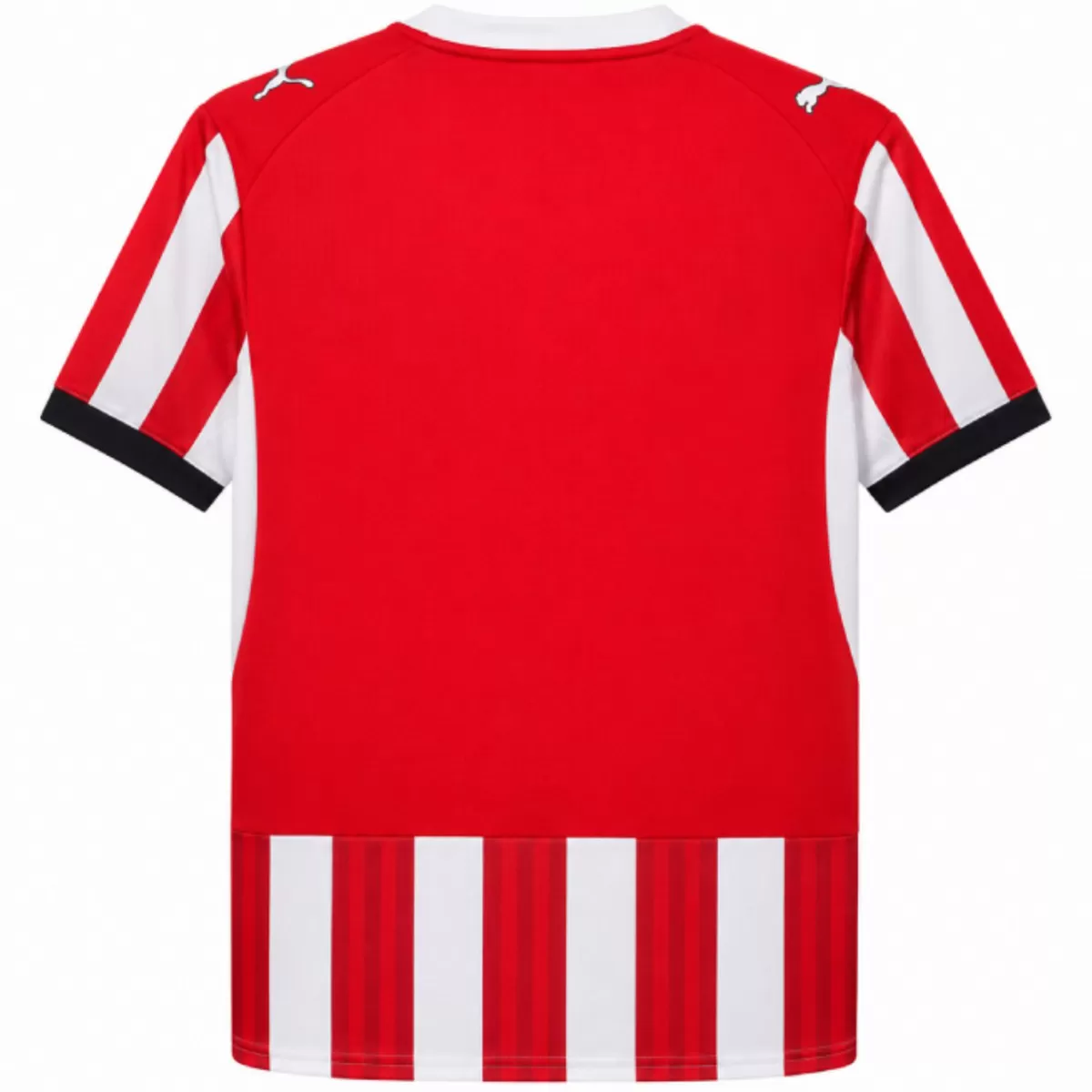 Maillot Domicile Southampton FC 2026/27 – Image 4