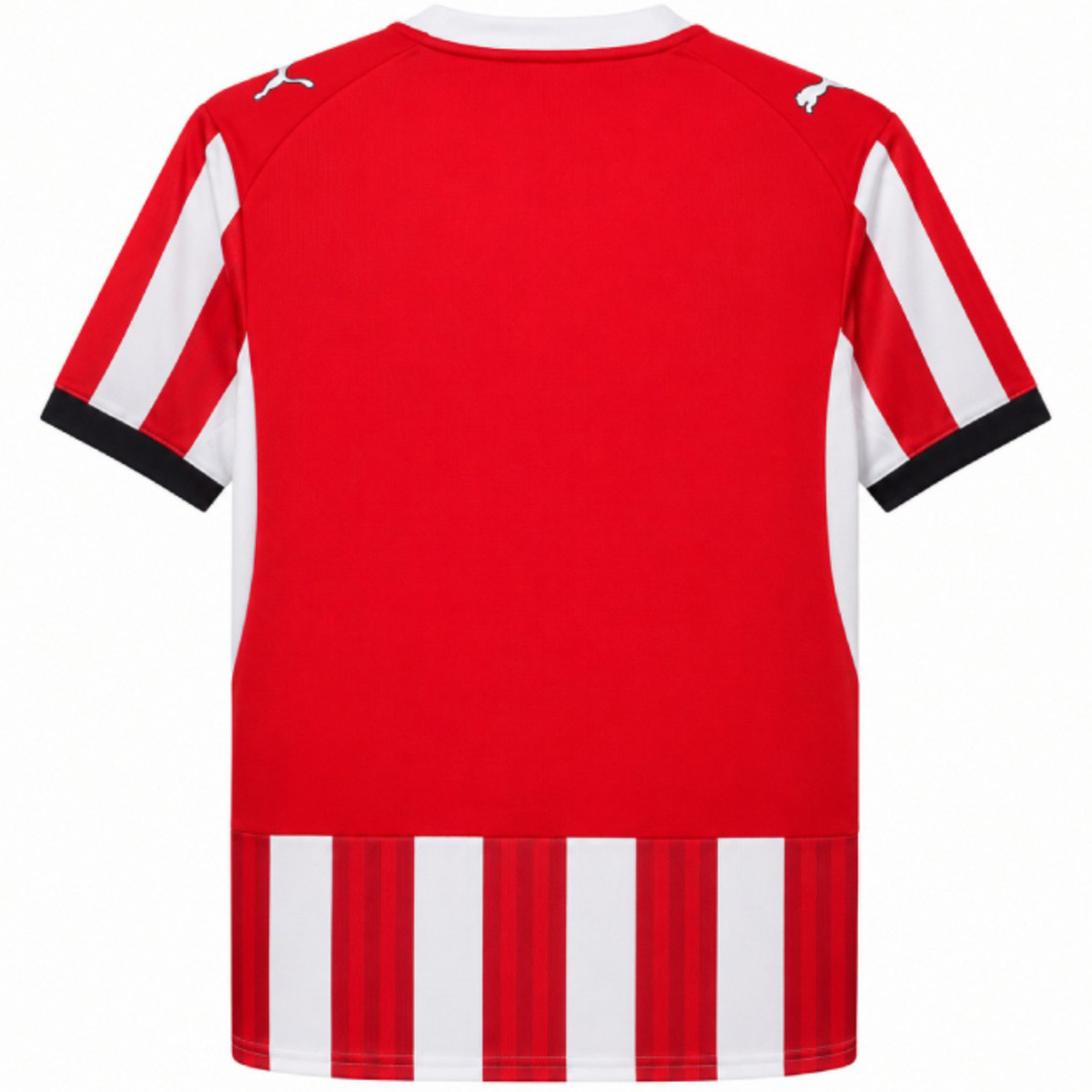 Maillot Domicile Southampton FC 2026/27 – Image 6
